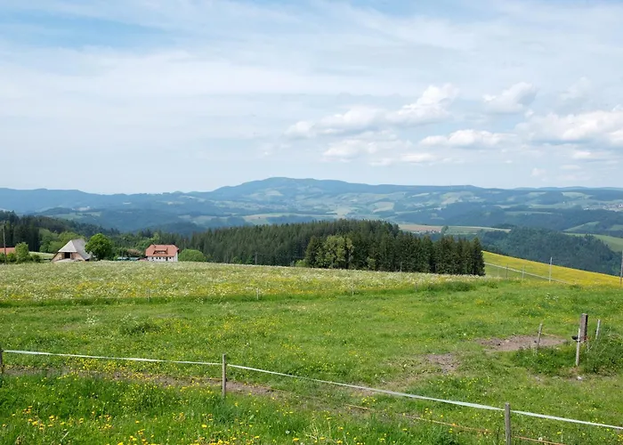 Lägenhet Baeuerleshuette